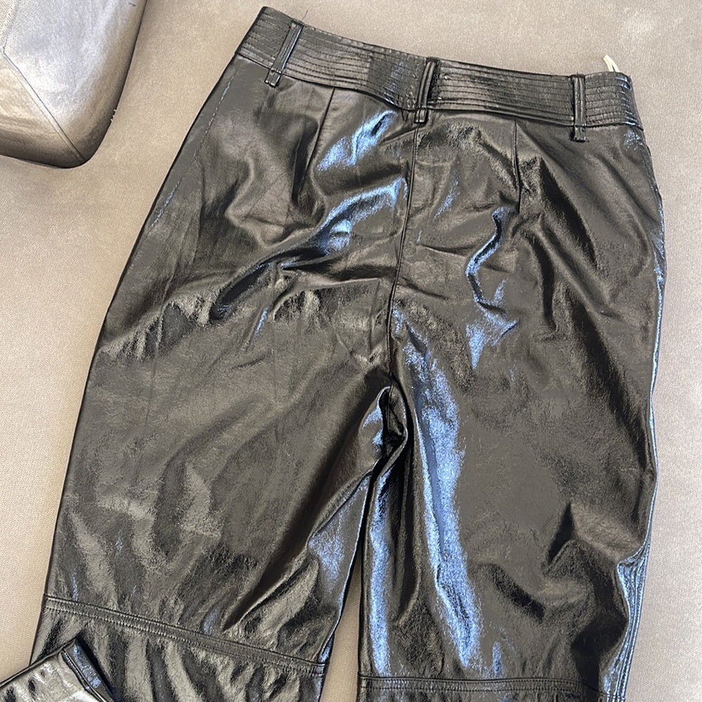 Aritzia Polyurethane Pant - Picture 9 of 14